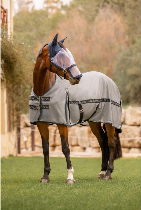 Produktbild Horze Paso Fino (145 cm)