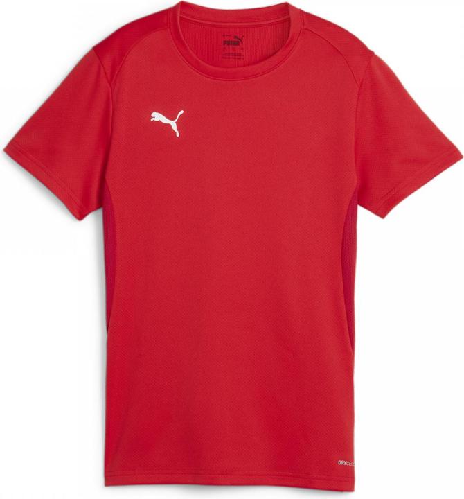 Produktbild Puma teamGOAL Jersey Wmn (M)