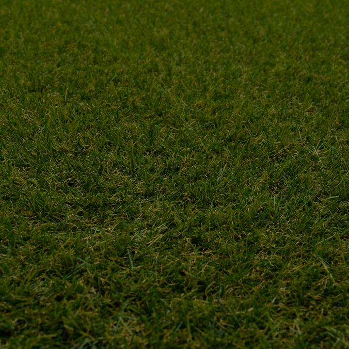 Actual product image Snapstyle Lawn carpet (1 x, 200 x 50 cm)