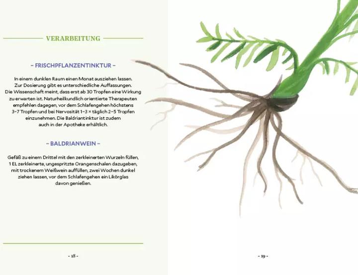 Actual product image Die Kraft der Wurzeln (German, Miriam Cradle, 2020)