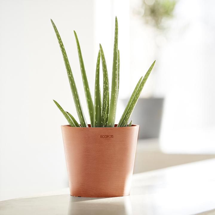 Immagine prodotto Ecopots Amsterdam Mini (13 cm)
