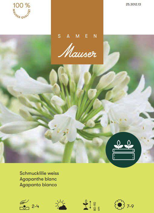 Produktbild Samen Mauser Agapanthus Schmucklilie (Blumensamen)