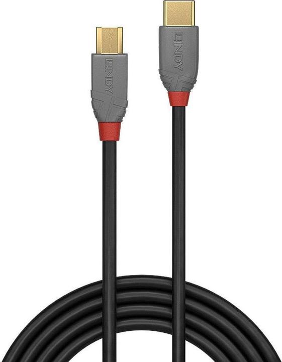Immagine prodotto Lindy Anthra Line (2 m, USB 2.0)