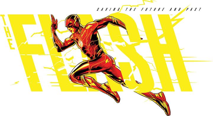 Actual product image The Flash Unisex Adult Hoodie (S)
