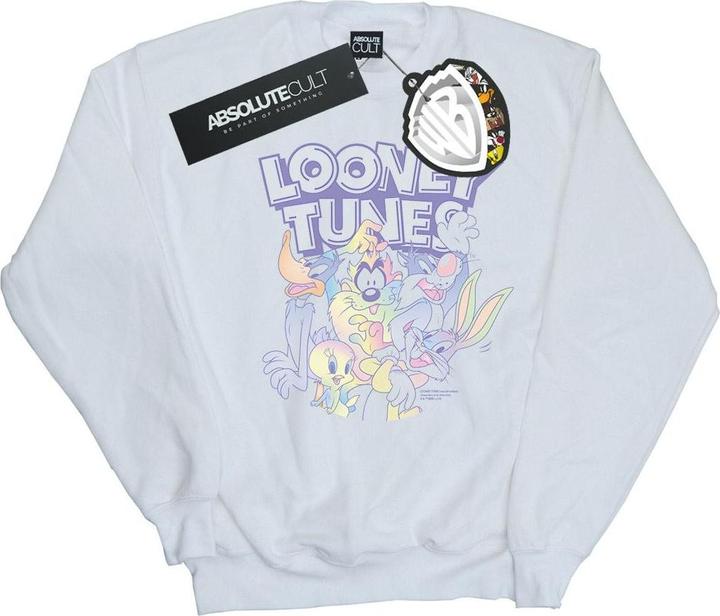 Actual product image Looney Tunes Mens Rainbow Friends Sweatshirt (XL)