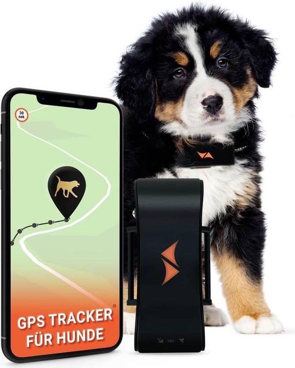 Image du produit PAJ GPS PET Finder 4G Tracker GSM Traceur pour animaux domestiques