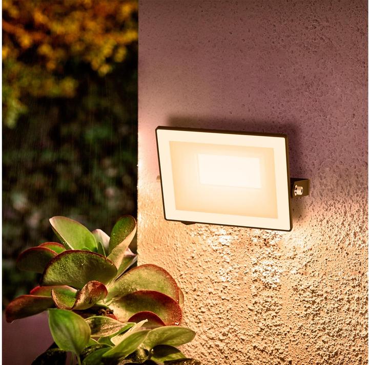 Image du produit Philips Outdoor Flutlicht Lois (2050 lm, IP65)