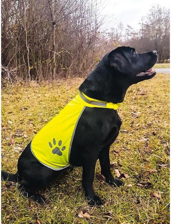Actual product image Korntex Dog safety waistcoat (L)