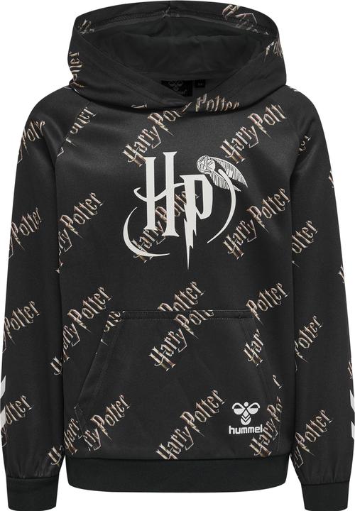 Image du produit hummel hmlHARRY POTTER HOODIE (110)