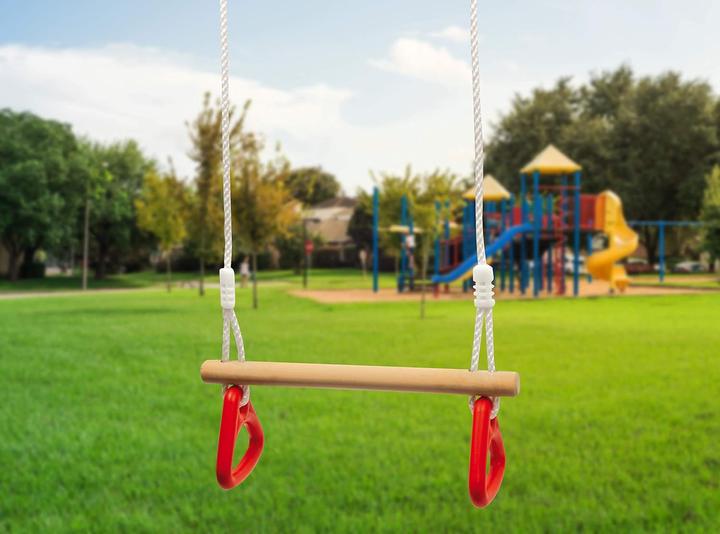 Actual product image small foot Swing with gymnastic rings