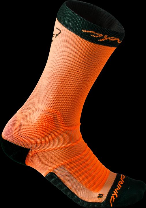 Immagine prodotto Dynafit Calzino Ultra Cushion (38)