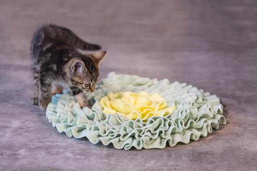Image du produit Beeztees Bz Kitten Matte à Bouches Flowi