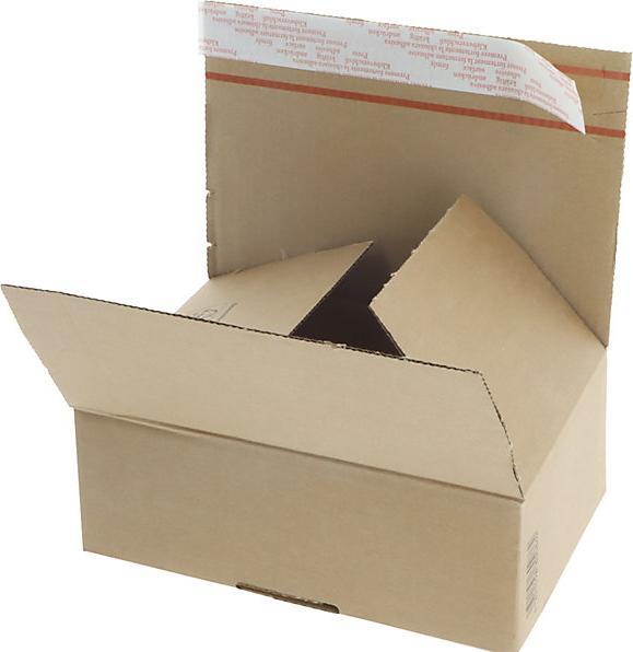 Image du produit Ratioform Carton rapide Speedbox, simple cannelure, L x l x h 430 x 300 x 200 mm, A3 (A3, 1 x)