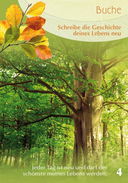 Produktbild Berk Baumgefährten - Orakelkarten