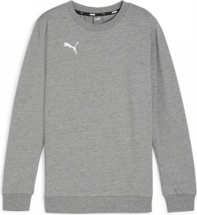 Actual product image Puma teamGOAL Casuals Crew Neck Sweat Jr (128)