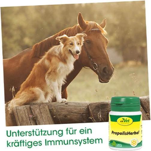 Image du produit cdVet PropolisHerbal (Adulte, 1 pcs, 20 g)