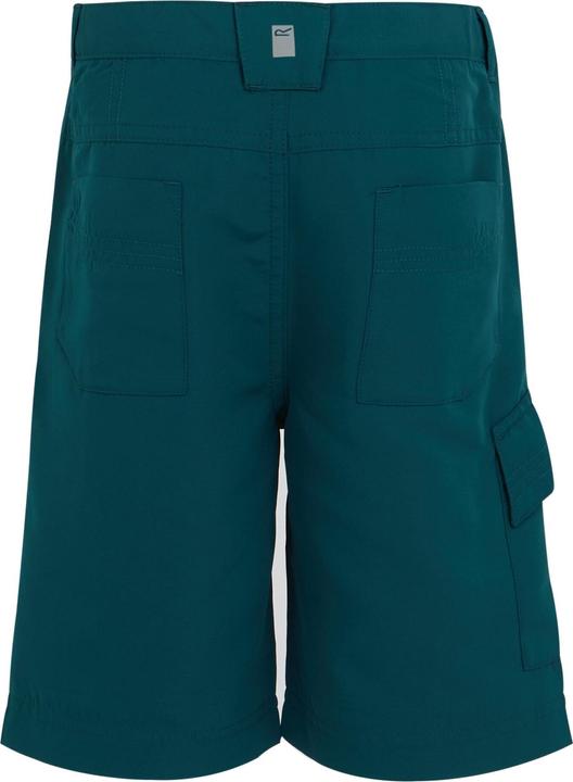 Produktbild Regatta Sorcer II Shorts (116)