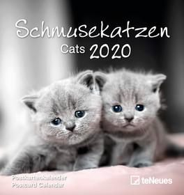 Produktbild Postkartenkalender Katzen (Spezial, Deutsch)