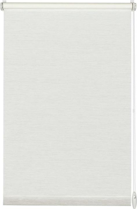 Image du produit Gardinia Nature (100 x 150 cm)