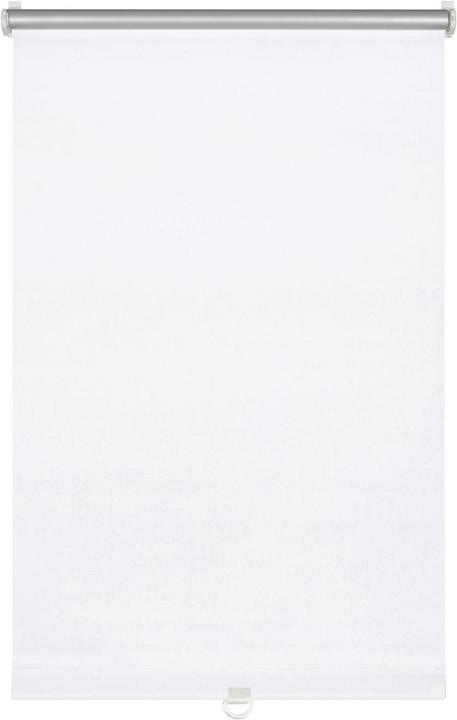 Image du produit Gardinia Store à rouleau souple (60 x 150 cm)