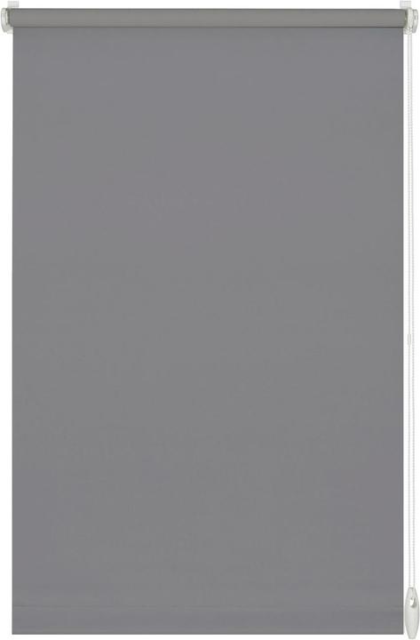 Gris pierre