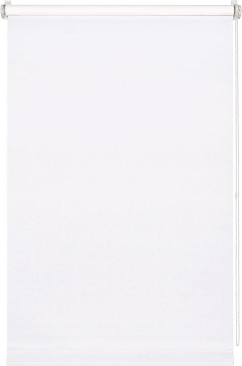 Produktbild Gardinia Tageslicht (75 x 150 cm)
