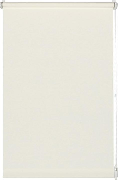 Actual product image Gardinia Uni (100 x 150 cm)