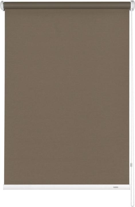 341 mocha