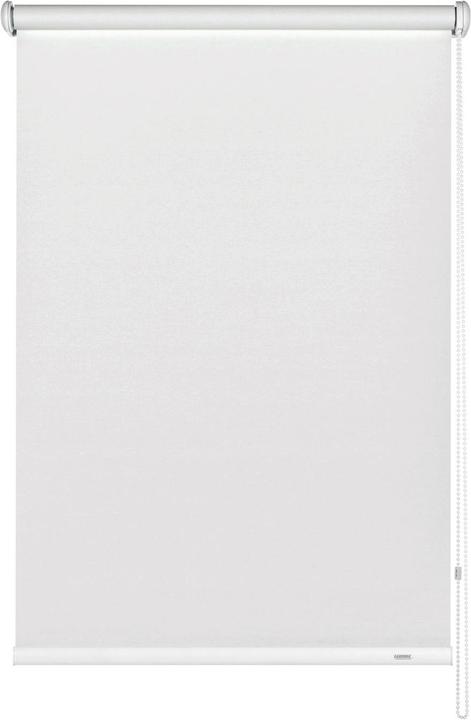 Side draught roller blind (82 x 230 cm)