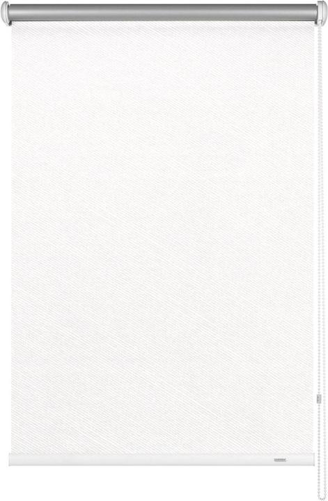495 Stripes White