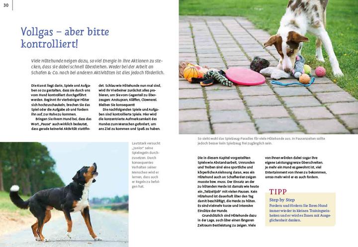 Immagine prodotto Spiele und Action für ausgeglichene Hütehunde (Tedesco, Marion Albers, 2023)
