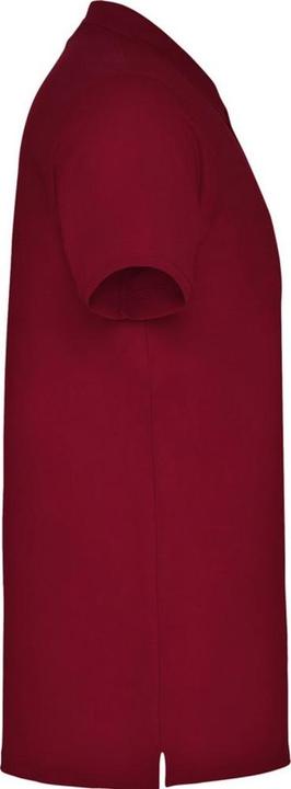 Image du produit Alpinia - Polo STAR - Homme (3XL)