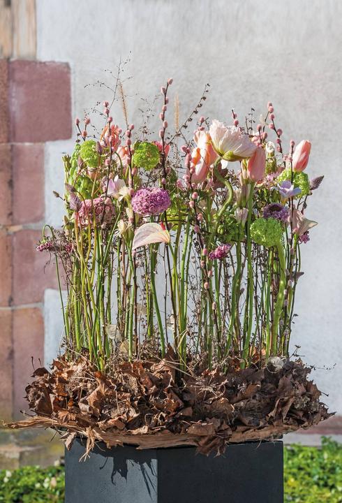 Produktbild Opiflor Steckschaumkranz Ringo 40 cm