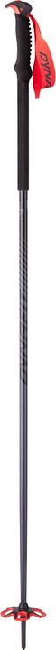 Produktbild Dynafit Skistock Tour Pole (145 cm)