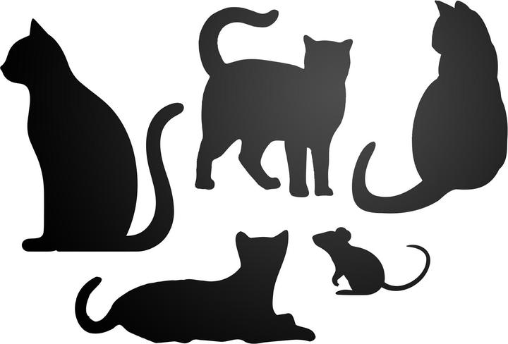 Image du produit Trendform Selbstklebende Haftfläche ELEMENT FLEX CAT (Tableau d'affichage)