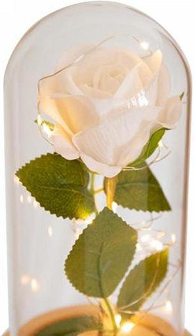 Immagine prodotto TOP Rosa eterna (Fiori dell'Infinito)