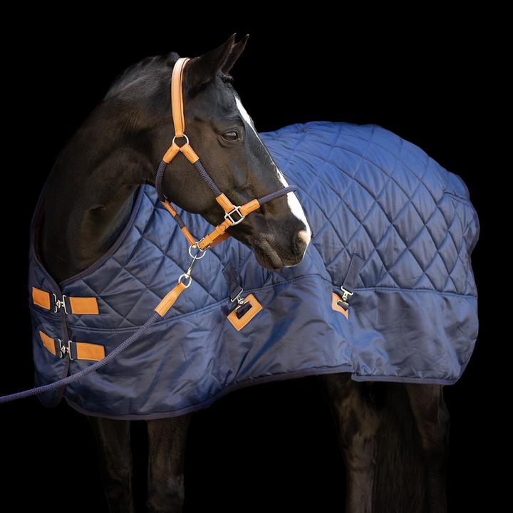 Image du produit HV Polo Jet 100g (175 cm)