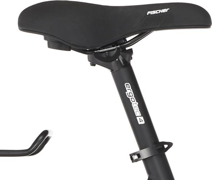 Produktbild Fischer E-Trekkingbike Terra 5.0i (44 cm)