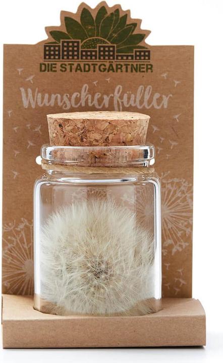 Actual product image Natura Punto Dandelion (Ø 4 x 8 cm)