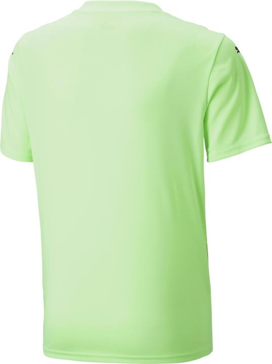 Image du produit Puma teamULTIMATE Jersey Jr (116)