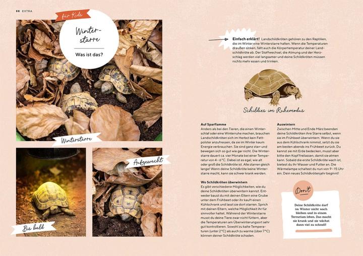 Produktbild Kosmos Landschildkröten (Deutsch, Svenja Wilms, 2024)