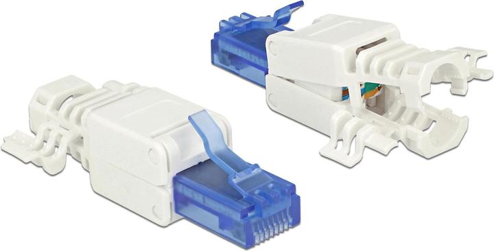 Delock Prise RJ45, UTP, Cat.6A, 2 pièces (Câble réseau Connecteur)