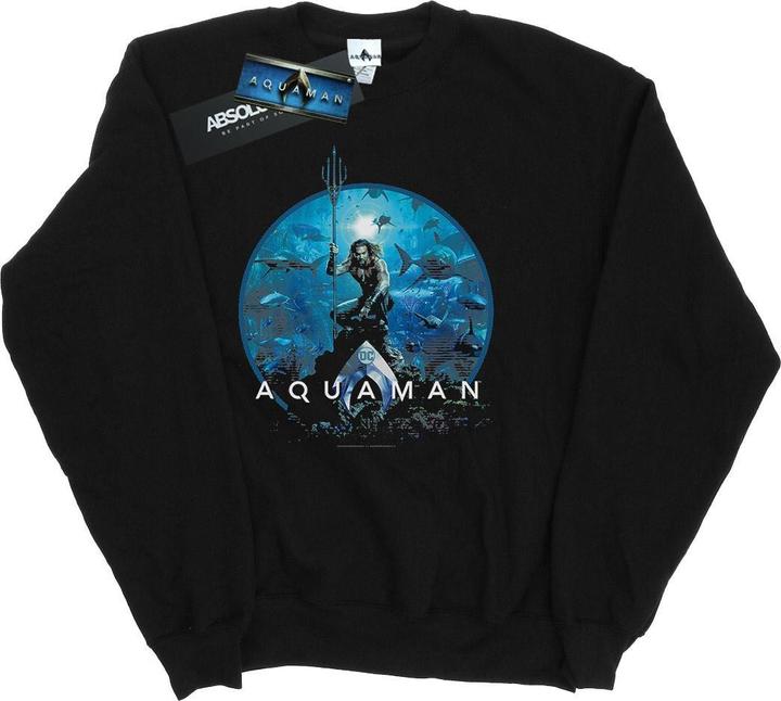 Immagine prodotto Aquaman Circle Poster Felpa Ragazzi (140, 146)