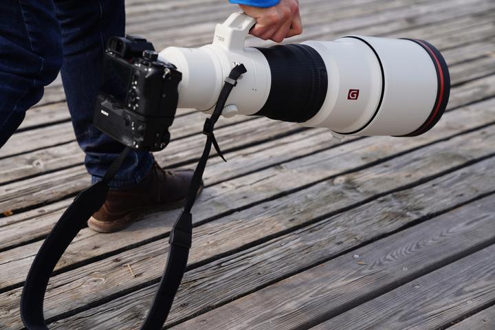 Immagine prodotto Sony 600mm f/4 GM OSS E - Import (Sony E, APS-C / DX, Full-frame)