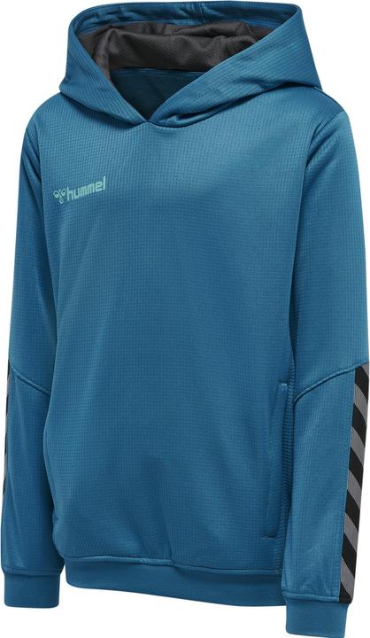 Image du produit hummel Sweat à Capuche Authentique Pour Enfants (116)