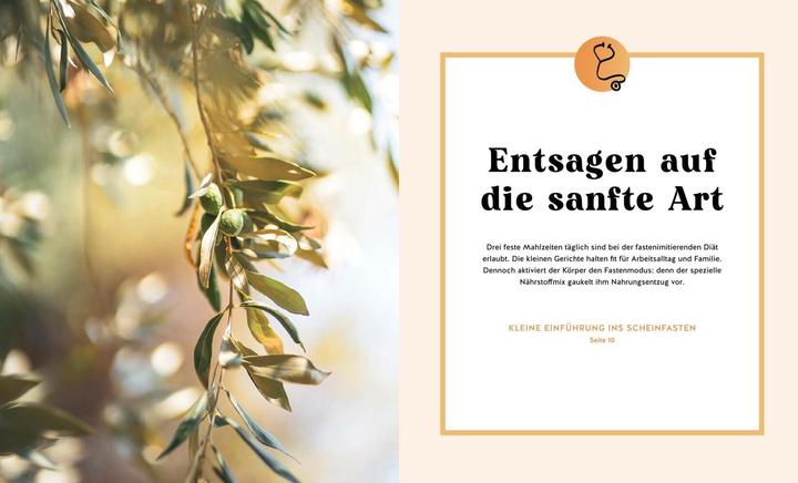 Image du produit Der Kiefer-Code (Allemand, Hamide Farshi, 2024)