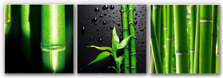 Actual product image Trenddeko Bamboo set (3 pieces) (50 x 50 cm)