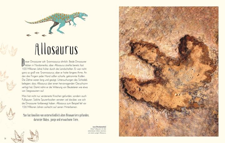 Immagine prodotto Wundervolle Welt der Dinosaurier und der Urzeit (Tedesco, Anusuya Chinsamy-Turan, 2022)