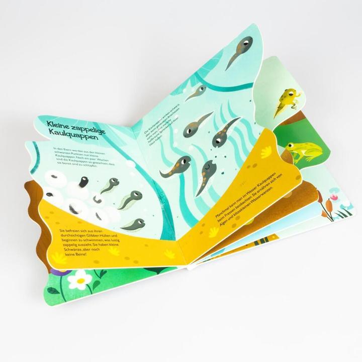 Actual product image From little tadpole to frog (German)
