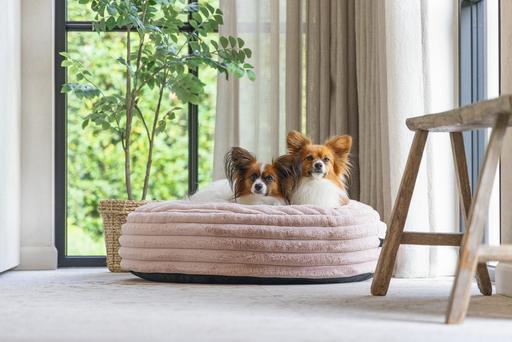 Actual product image Designed by Lotte Reza reclining cushion (Dog)
